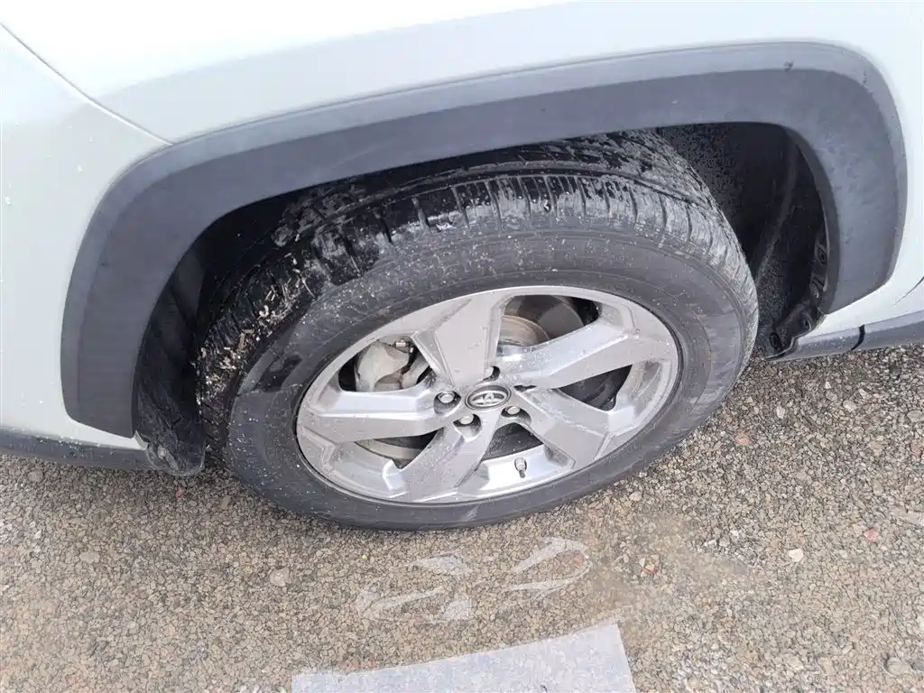 Toyota RAV4 Rongfang 2021 2.0L CVT 2WD Trend фото 19