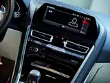Фото 48 - BMW M8