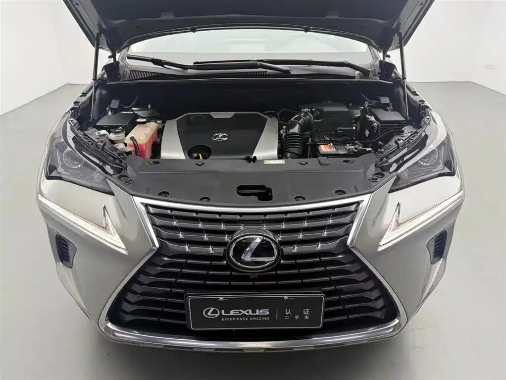 Lexus NX 2018 Model 200 FWD Fengxing Edition China V фото 3
