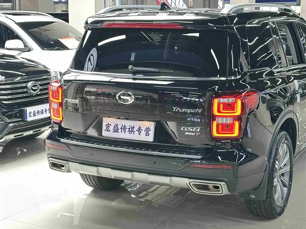 GAC Trumpchi Trumpchi GS8 2020 390T 2WD Luxury Smart Connect Anniversary Edition (7-Seater) фото 31