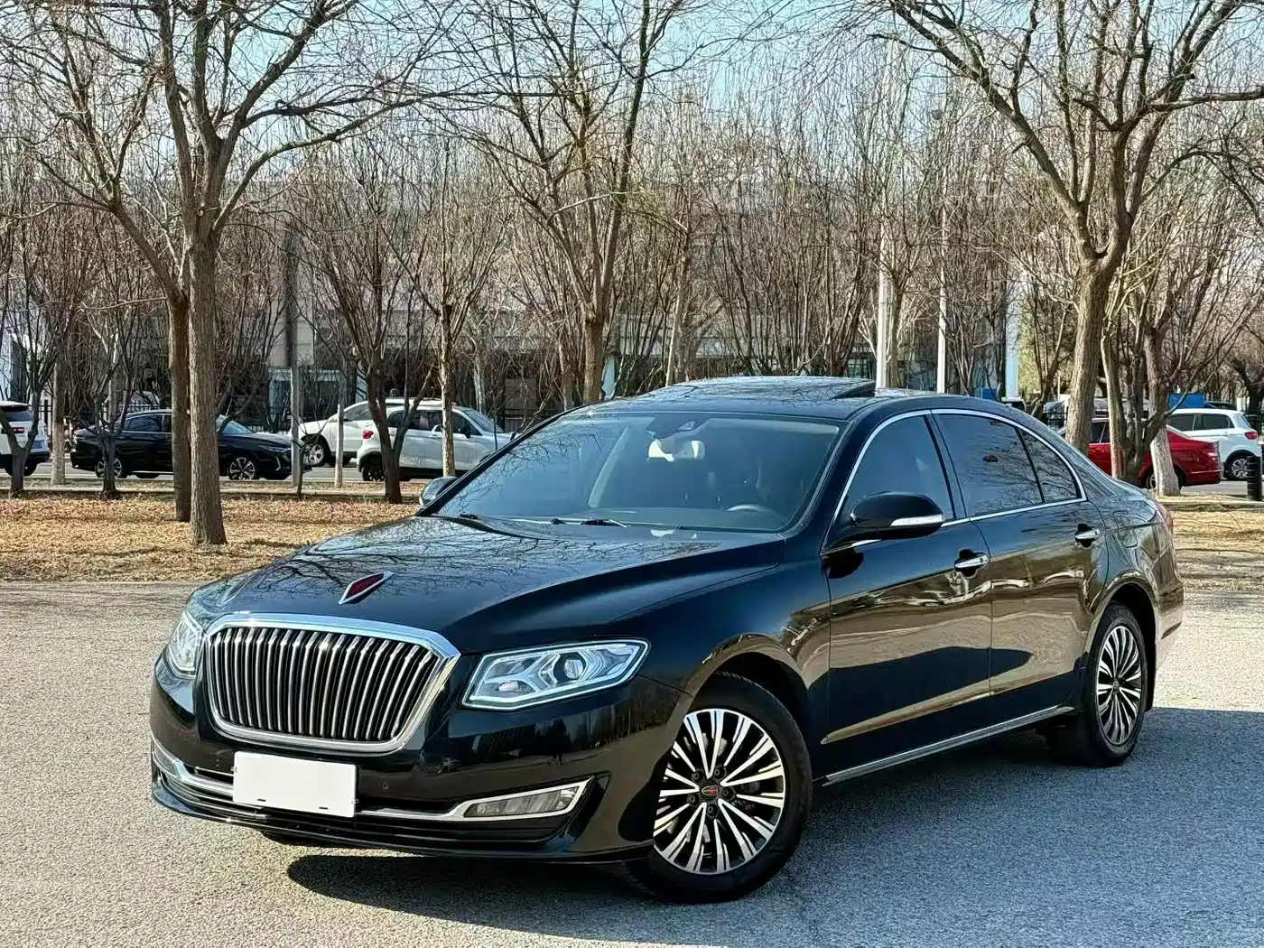 Hongqi H7 2018 2.0T Elite Edition
