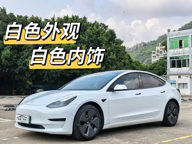 Tesla Model 3 2021