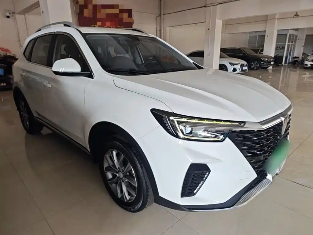 Фото 4 - Roewe RX5