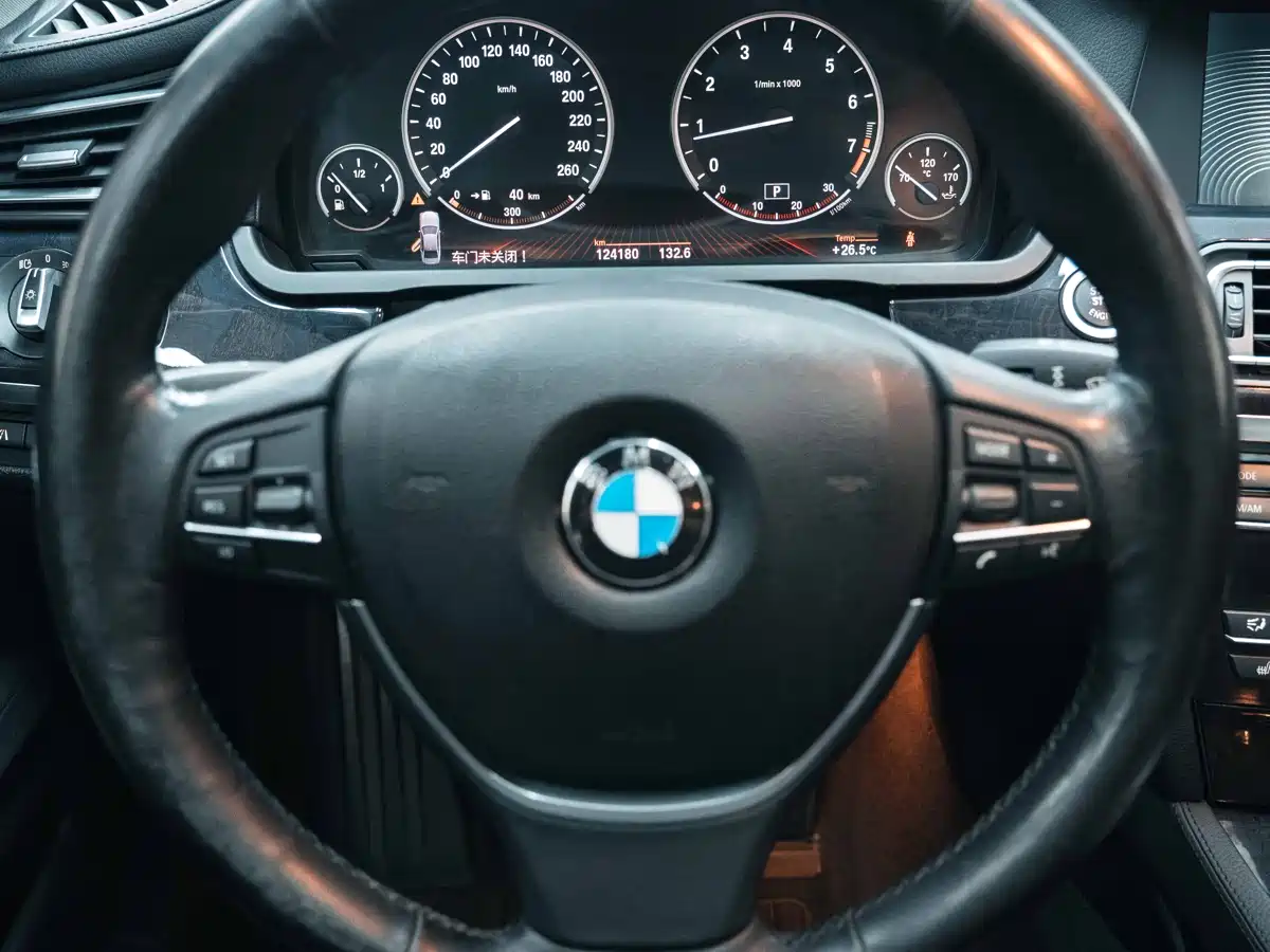 BMW 7 Series 2009 750Li Premium фото 13