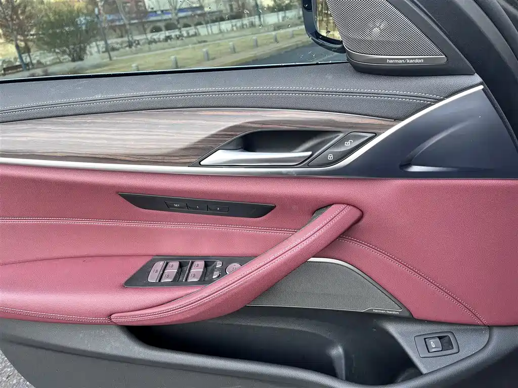 BMW 5 Series 2022 530Li Leading Luxury Package фото 6