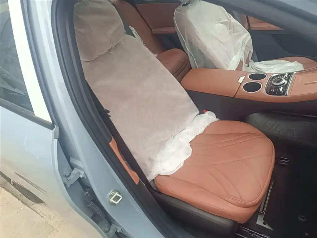 Geely Galaxy Galaxy L6 2025 EM-i 140km Explorer+ Edition фото 25