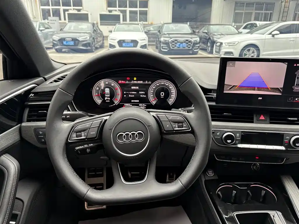 Audi A4L 2023 40 TFSI Luxury Sport фото 15