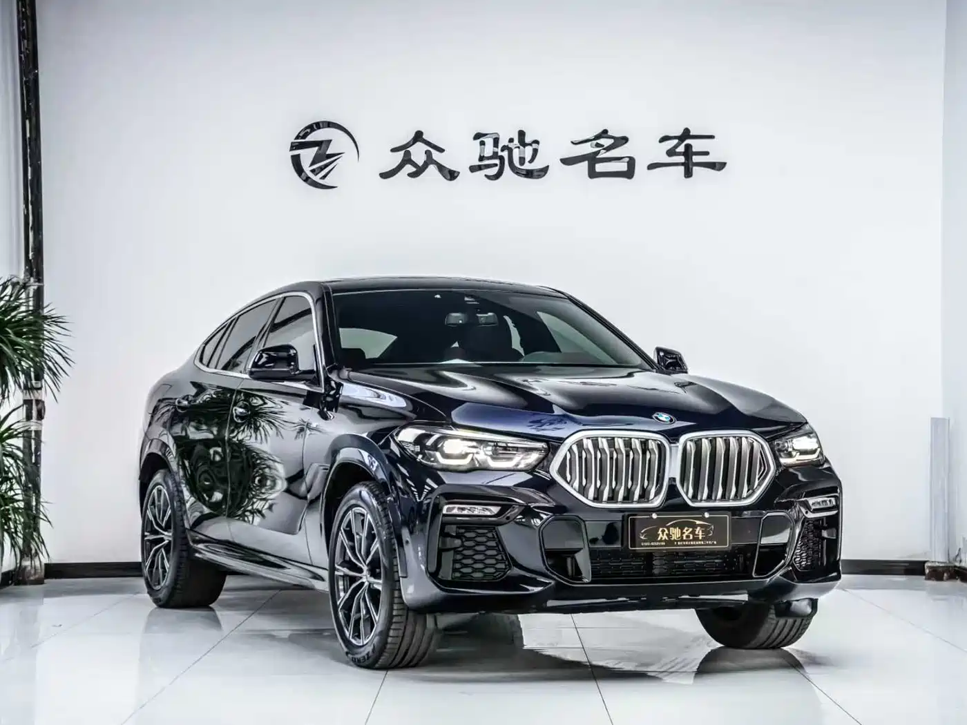 BMW X6 2021 xDrive30i M Sport Package фото 3