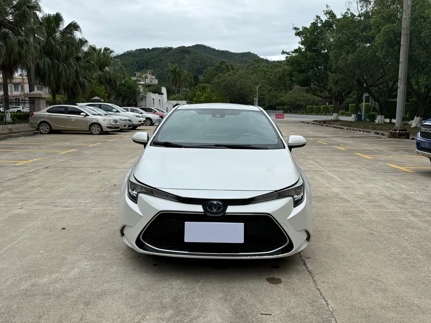 Toyota Levin 2019 Dual Engine 1.8H E-CVT Luxury Edition China V фото 2