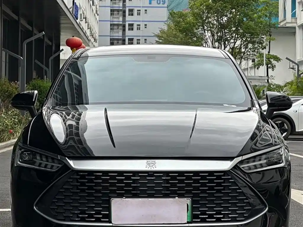 BYD Qin PLUS 2024 Glory Edition DM-i 55KM Leading фото 2