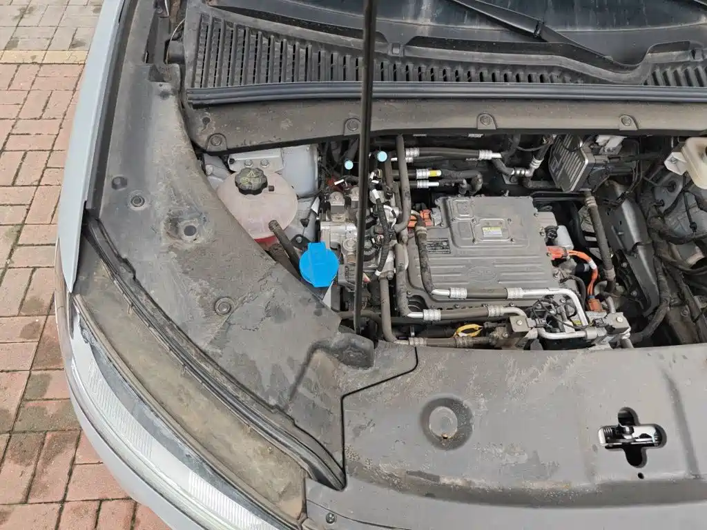 BYD Yuan UP 2025 2025 Smart Drive Edition 401KM Vitality Version