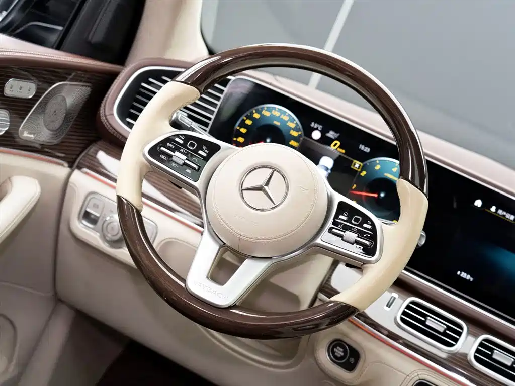 Mercedes-Benz Maybach GLS 2021 GLS 480 4MATIC фото 13