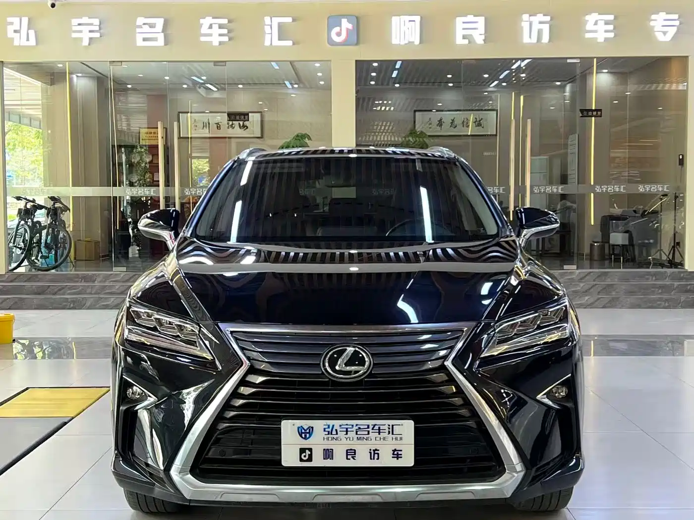 Lexus RX 2016 300 4WD Elegance Edition (China V)
