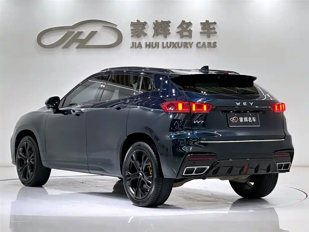 WEI PAI WEI BRAND VV7