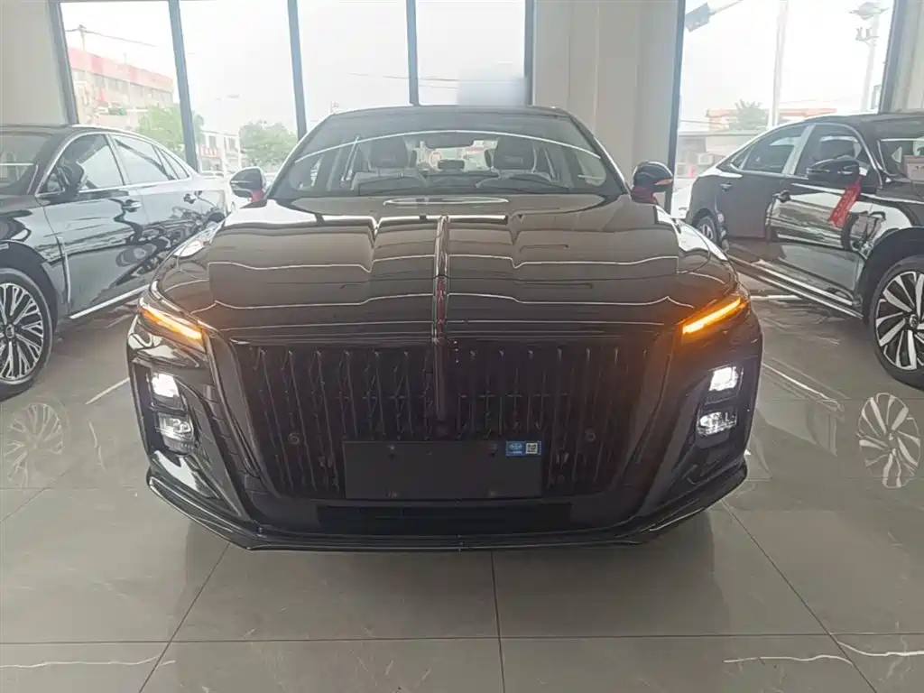 Hongqi H5 2025 2.0T Automatic Mystic Shadow 2 Million Edition фото 3