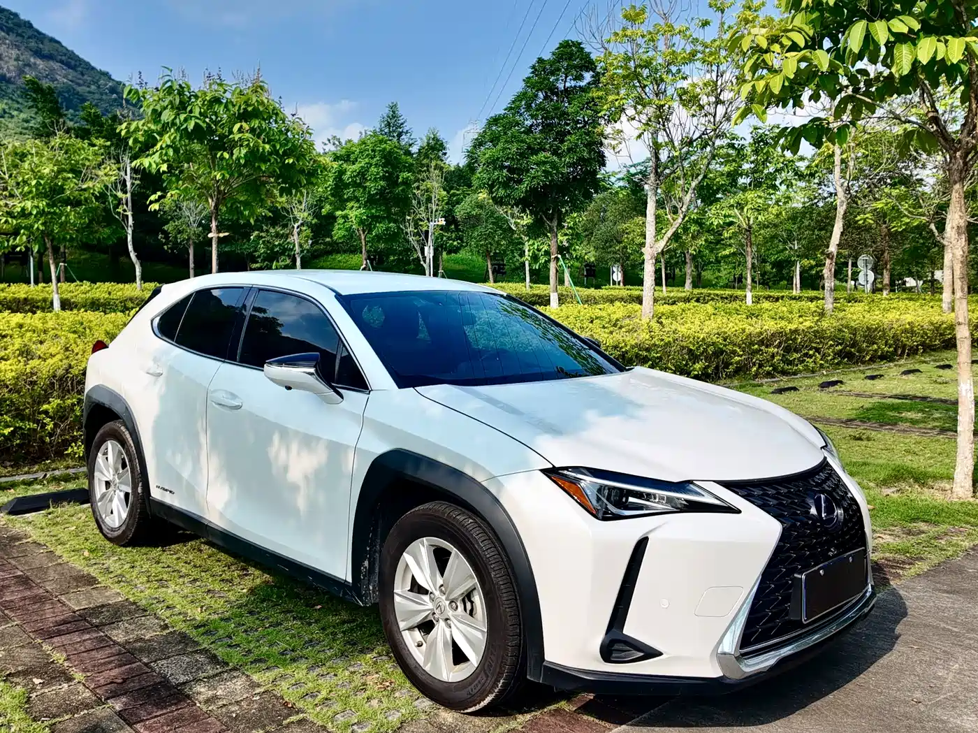 Lexus UX 2019 2019 260h Explorer Cool Edition (China V)