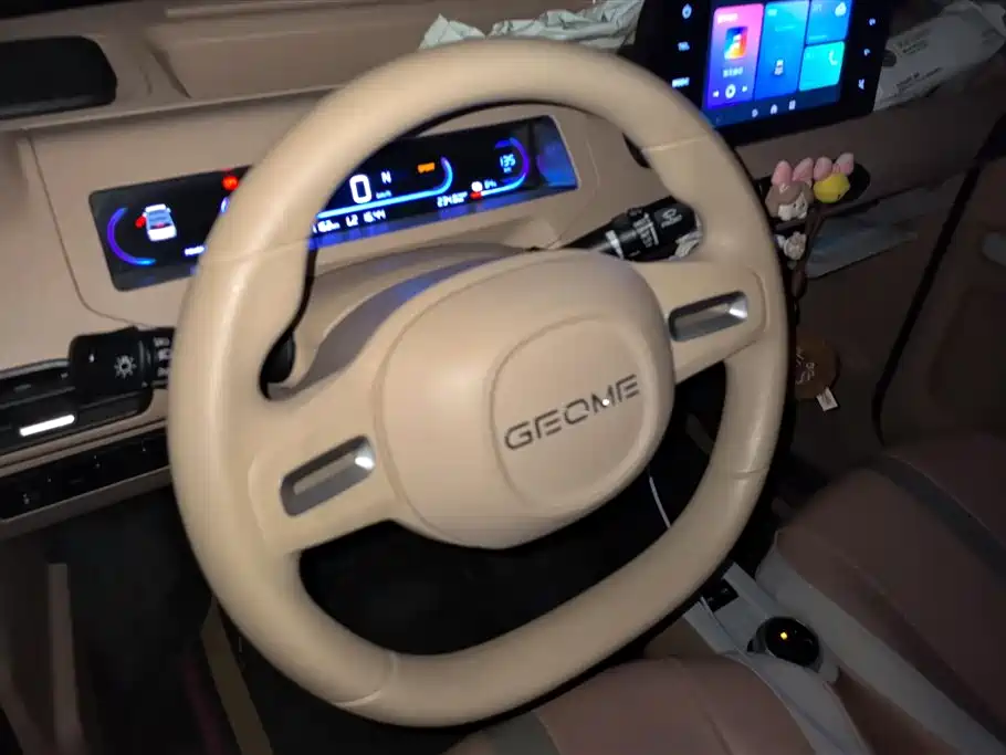 Geely Galaxy Panda 2023 Panda Mini 200km Endurance Bear фото 15