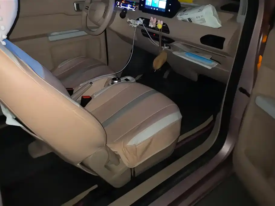 Geely Galaxy Panda 2023 Panda Mini 200km Endurance Bear фото 8