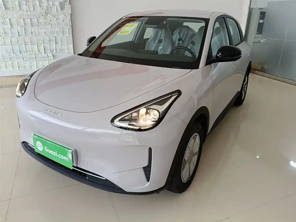 Geely Galaxy Starry Wish 2026 Edition 310km Youth Version