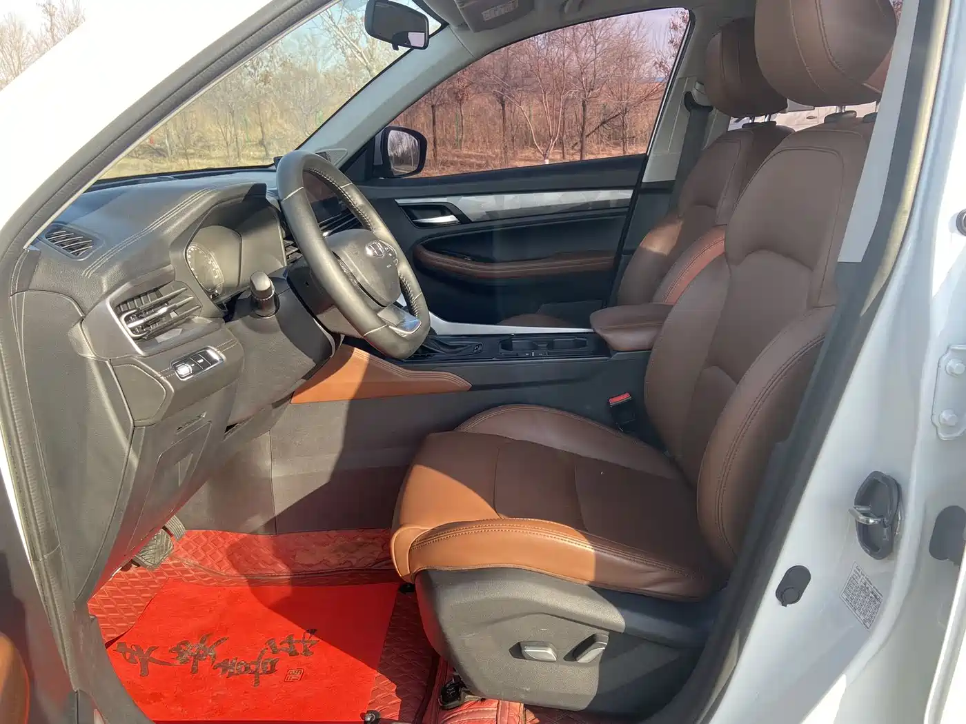 GEELY AUTOMOBILE VISION X6