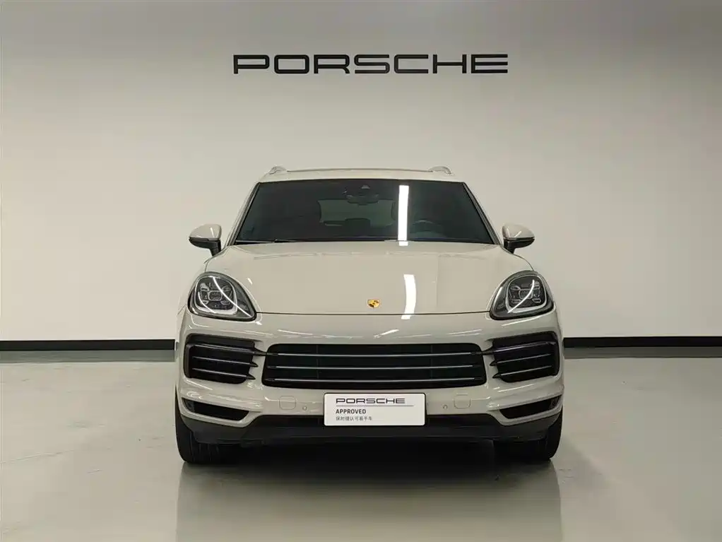 Porsche Cayenne 2022 Cayenne 3.0T Platinum Edition фото 2