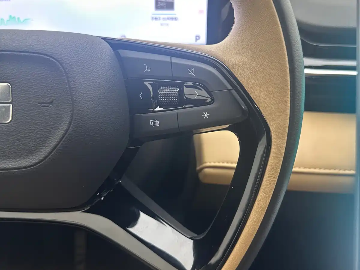 Geely Galaxy Galaxy L6 2024 125km PLUS Soaring Dragon Edition фото 18