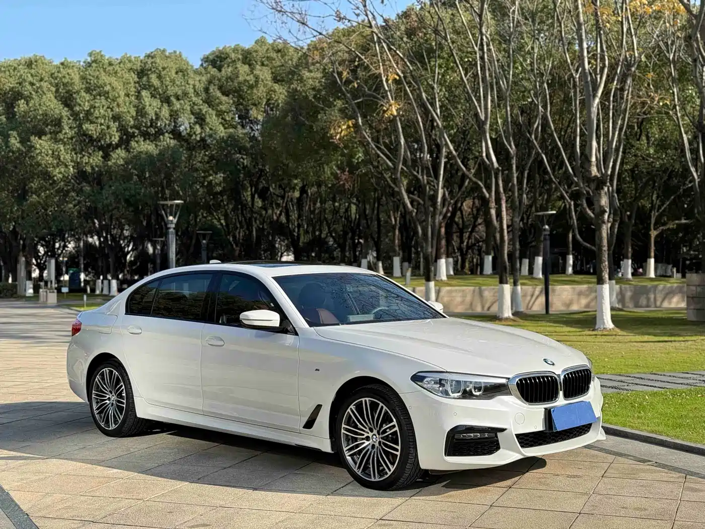 BMW 5 Series 2019 530Li Leading M Sport Package фото 3