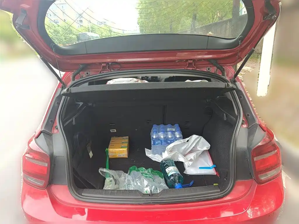 BMW 1 Series (Import) 2013 Facelift 116i Leading Model фото 10