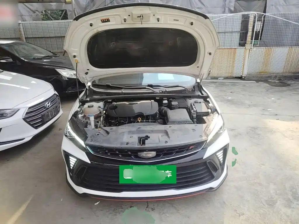 Фото 20 - Geely Binrui