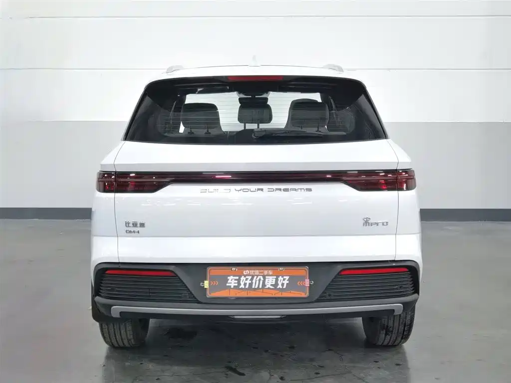 BYD SONGJIANG NEW ENERGY