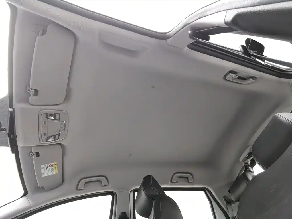 Geely Geometry EX3 Kung Fu Bull 2021 2021 Strong Bull