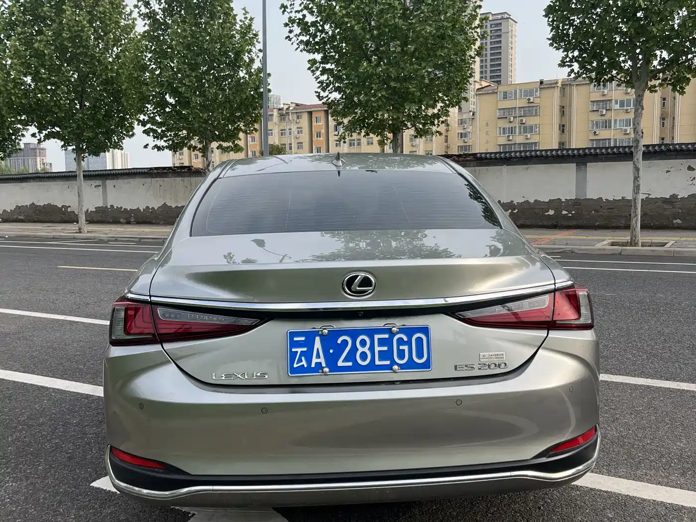 Lexus ES 2024 200 Premium Edition фото 4