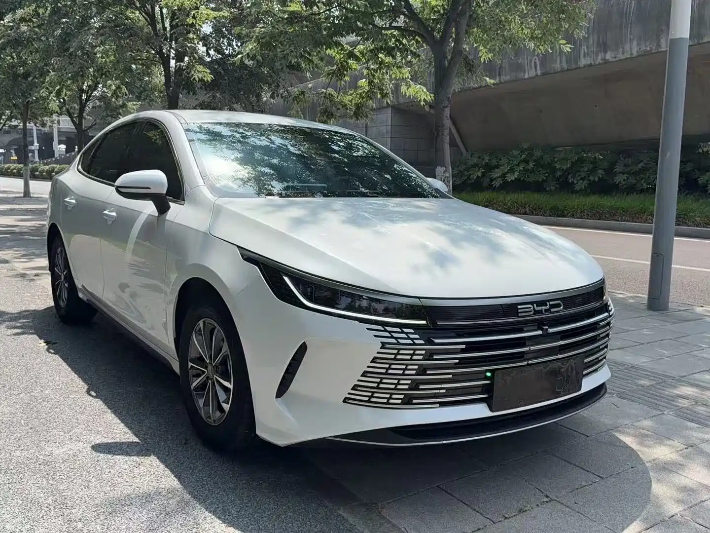Photo 3 - BYD Destroyer 05