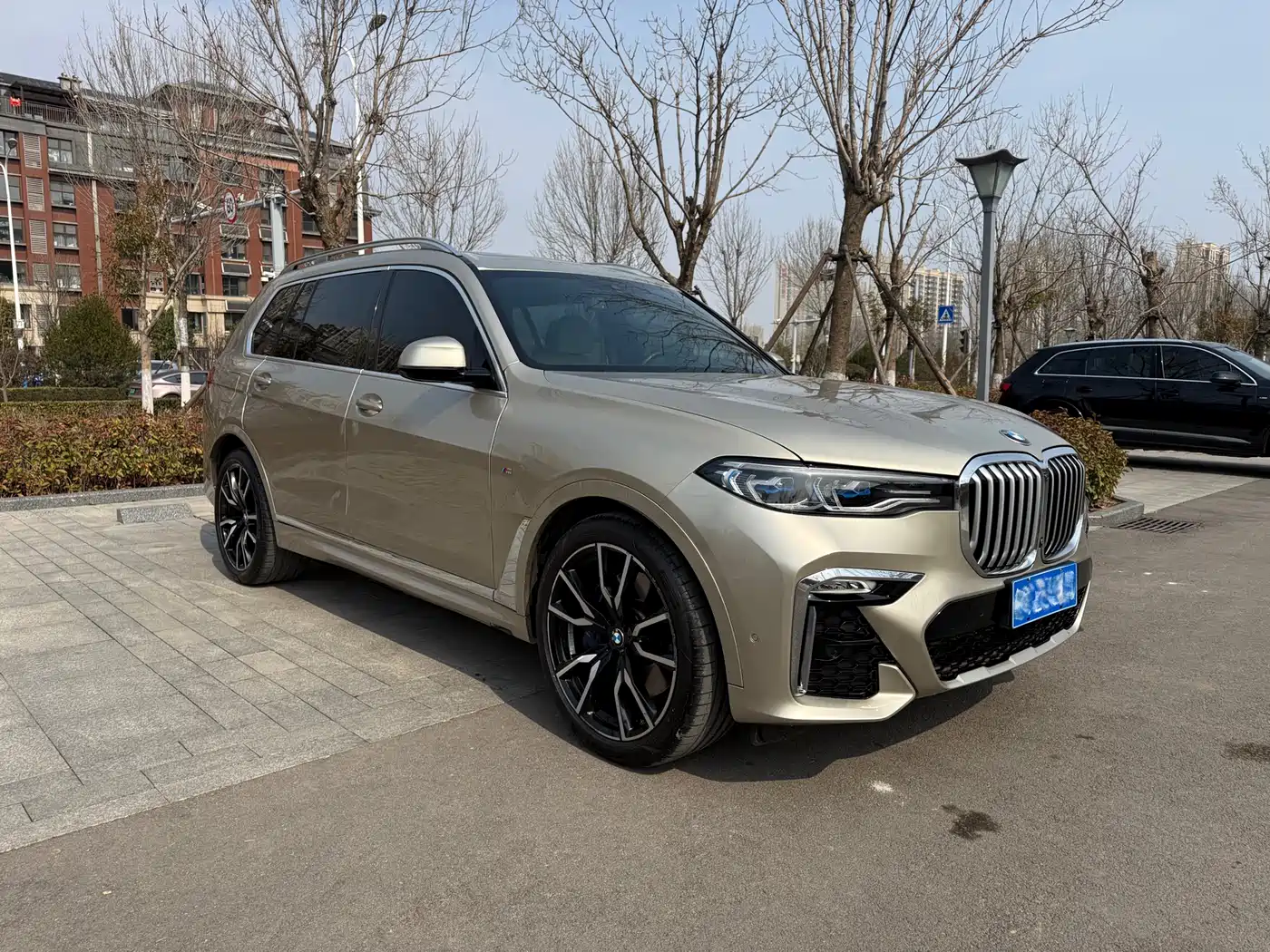 BMW X7 2019 xDrive40i Executive M Sport Package фото 3