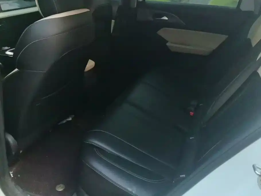 Geely Geometry E Firefly 2023 2024 Model 301km Starlight