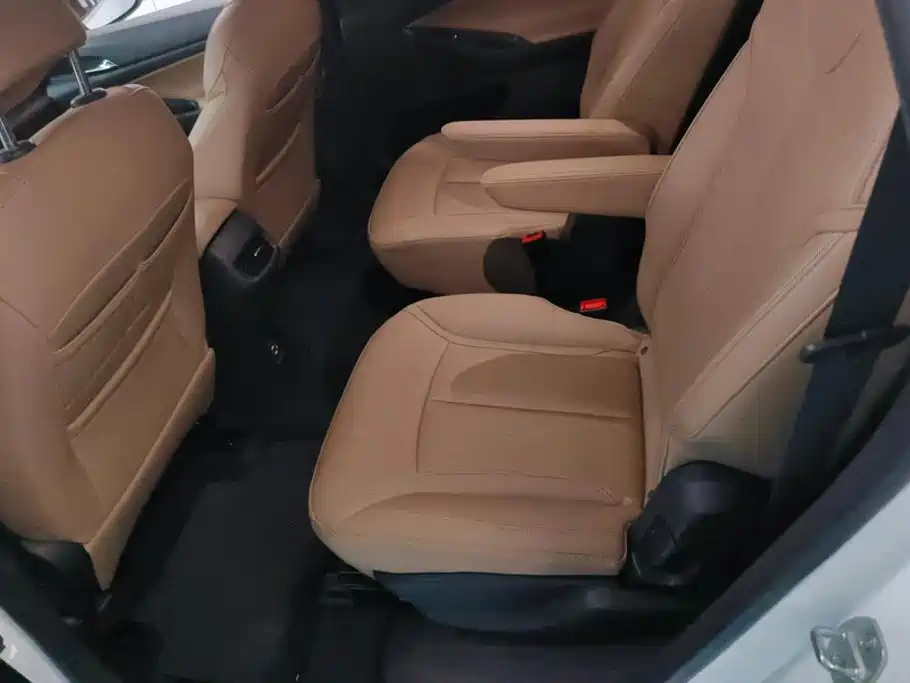 Фото 11 - Buick GL6