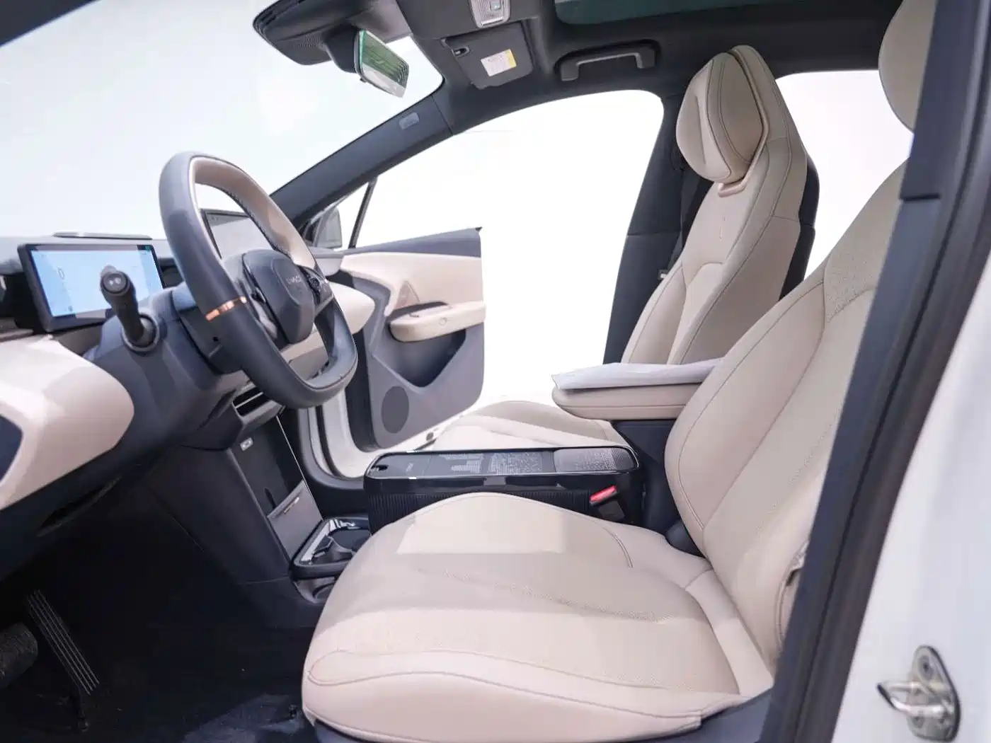 Lynk & Co Z20 2025 2025 530km RWD Pro