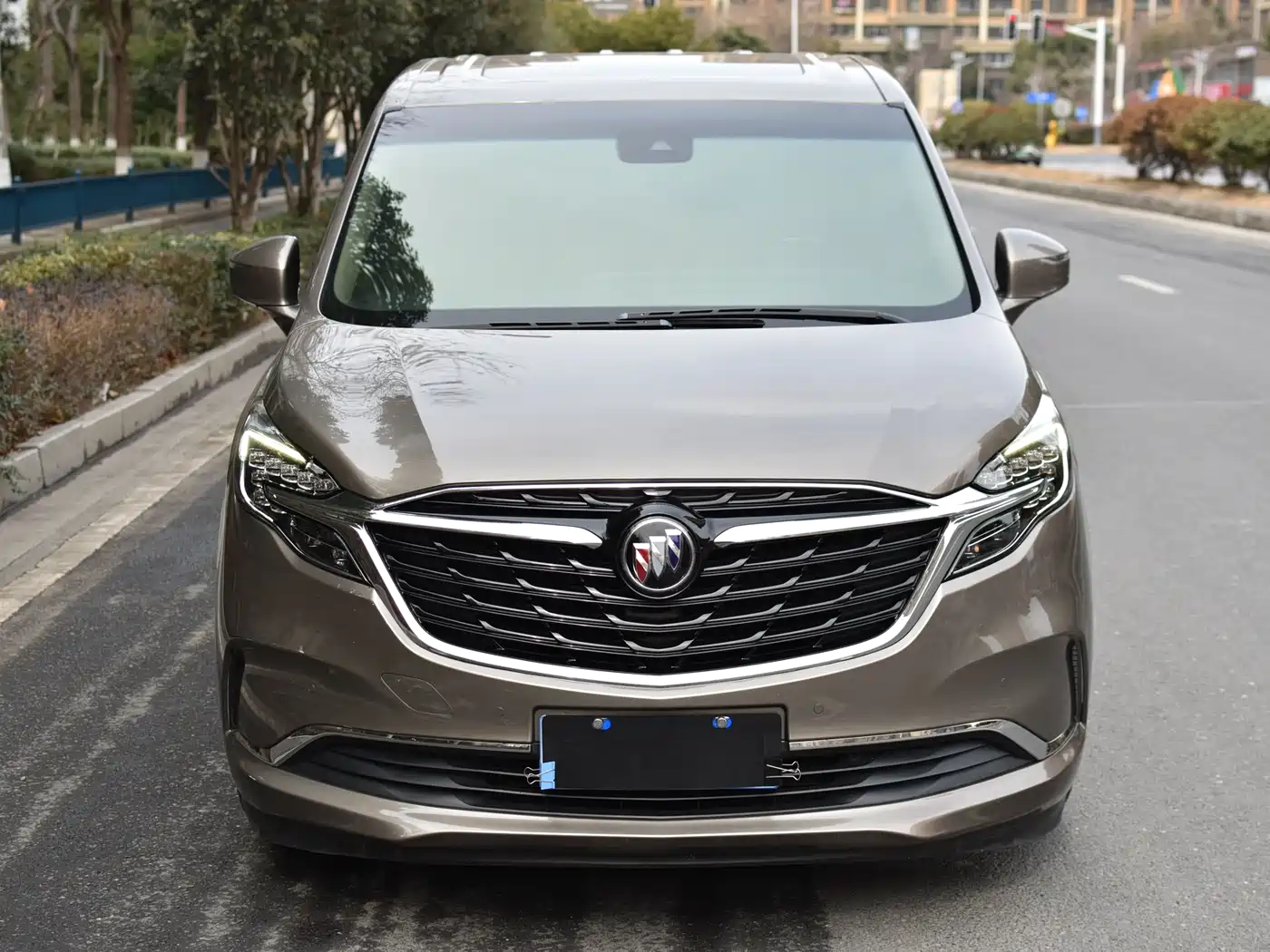 Buick GL8 2021 ES Landlord 653T Premium фото 4