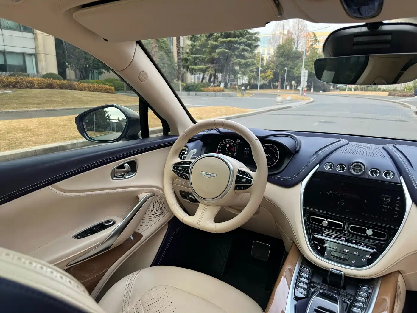Aston Martin DBX 2021 2021 4.0T V8 Enigma of Elegance