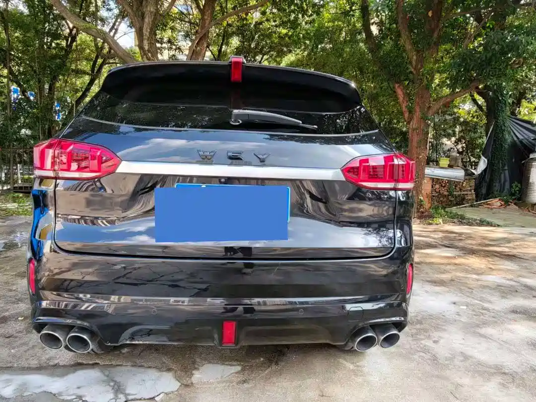 Фото 8 - WEY VV6