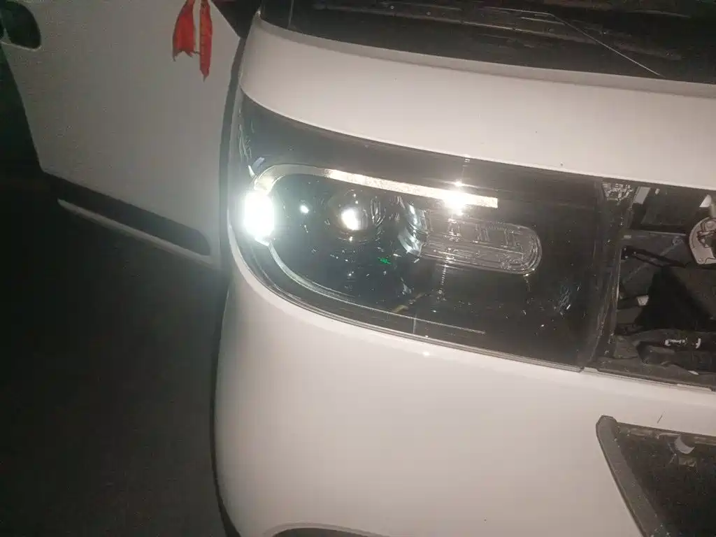Фото 7 - Maxus Dana V1