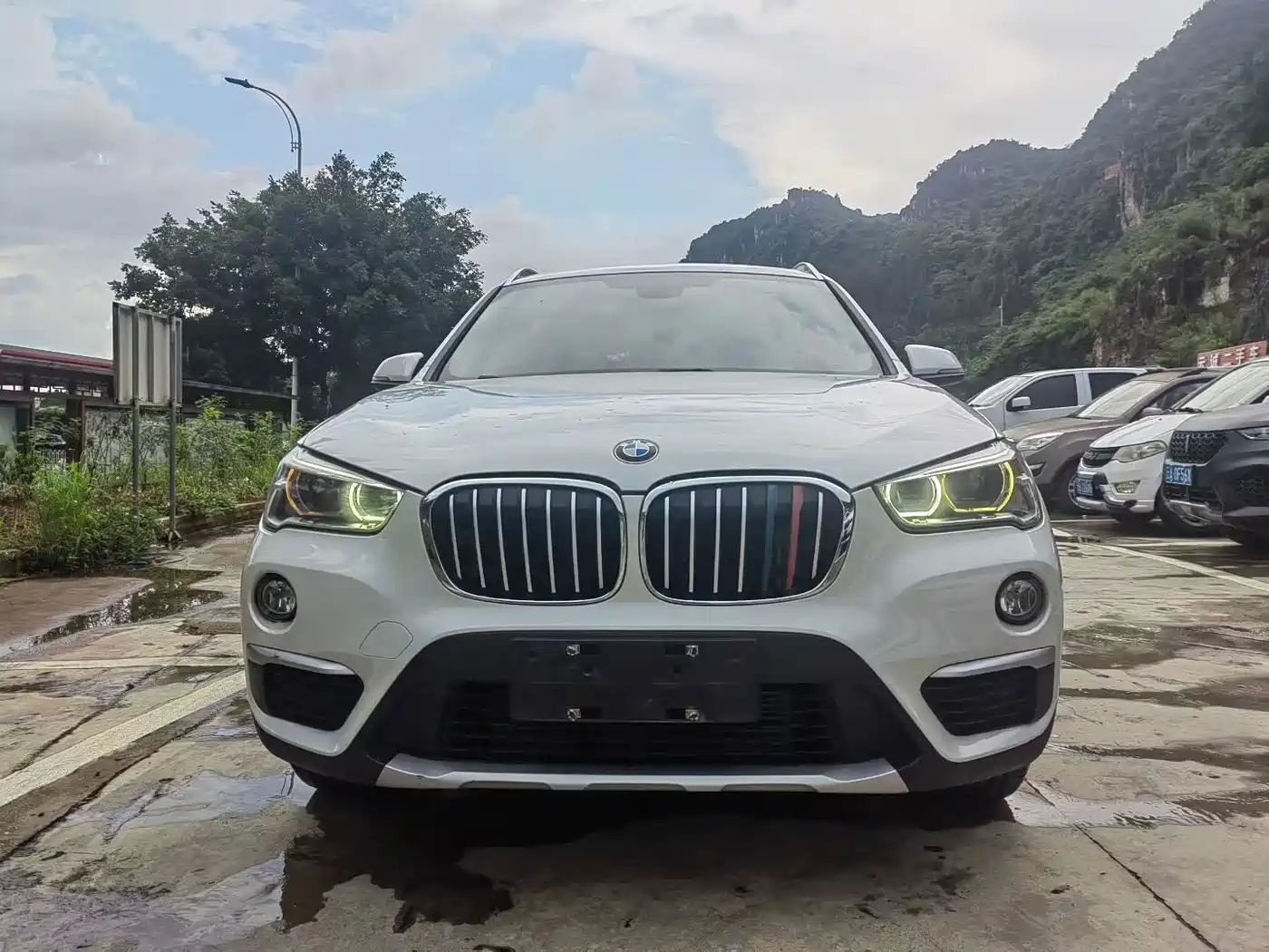 BMW X1 2019 xDrive20Li Premium Model фото 2