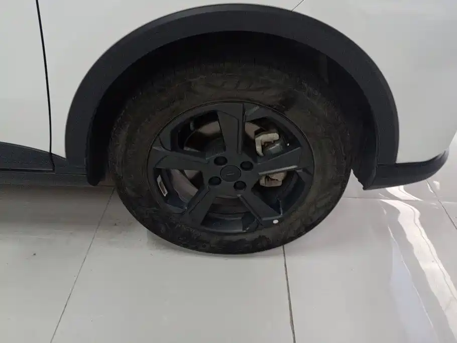 Фото 6 - Geely Geometry E Firefly