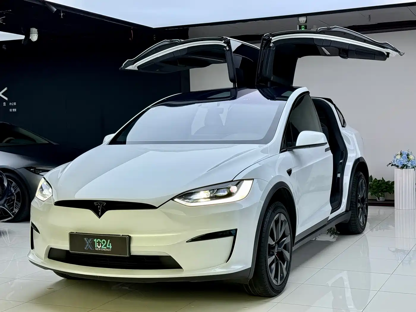 Tesla Model X 2023 Tri-motor AWD Plaid