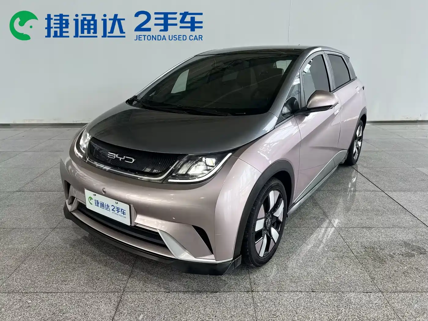 BYD Dolphin 2021