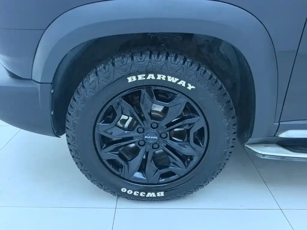 Haval Dargo 2021 2021 2.0T DCT 4WD Chinese Rural Dog Edition