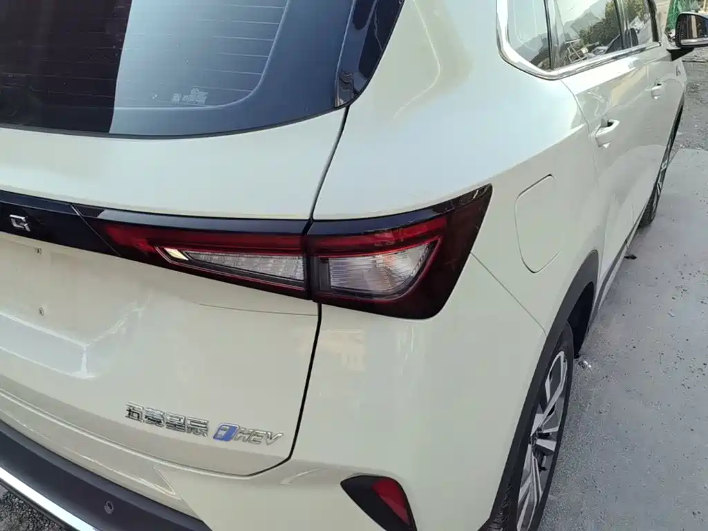 Wuling Motors Wuling Xingchen 2023 2022 2.0L DHT Electric Speed Edition