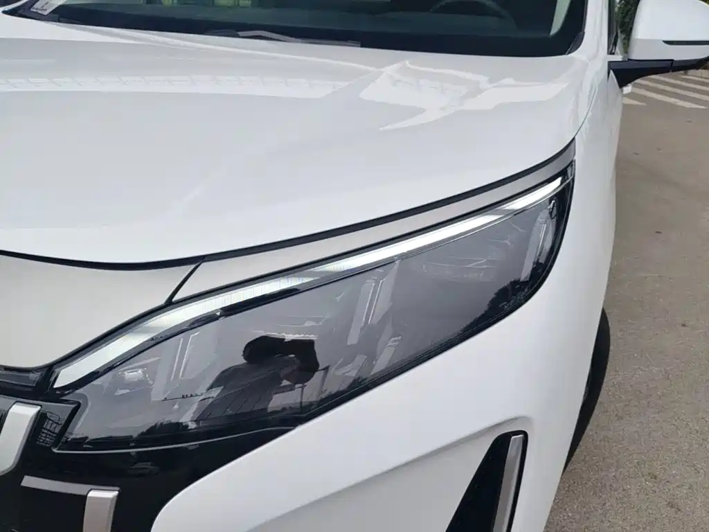 BYD M9 2026 2025 Model 1060 Pilot Edition