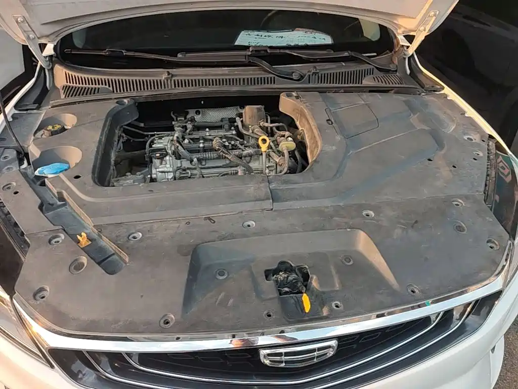 Фото 20 - Geely Binrui