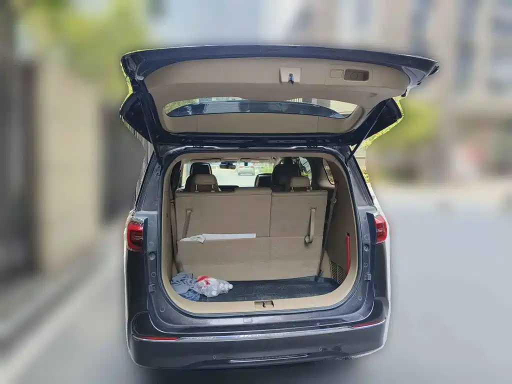 Buick GL8, миниатюра 5